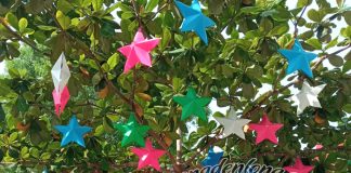 Đèn Lồng Nhựa Ngôi Sao